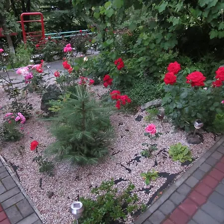 And Sauna Truszkavec